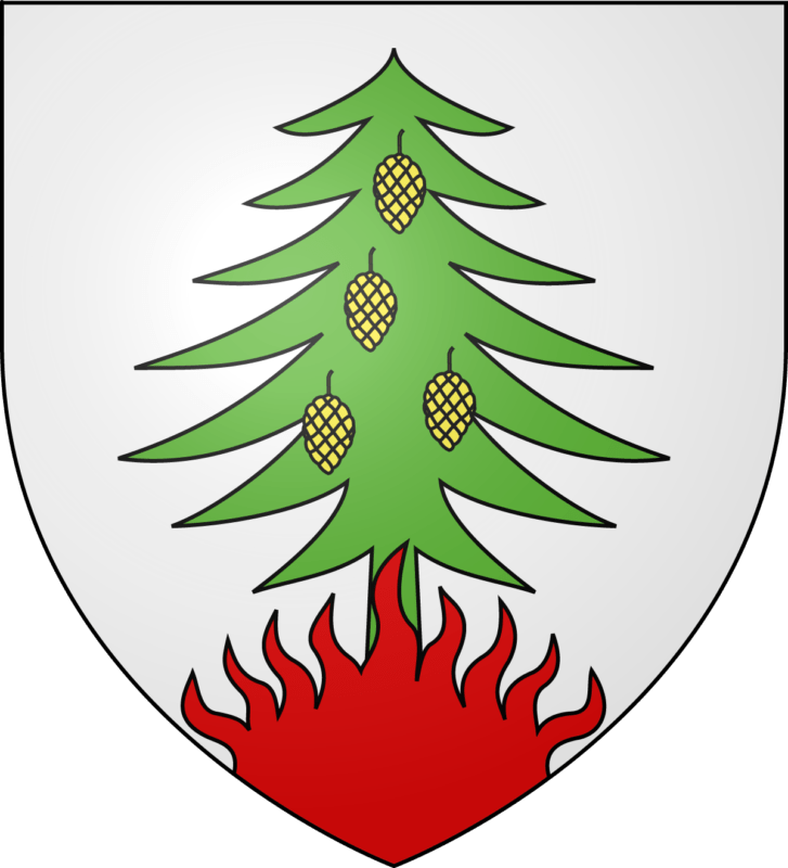 Blason de la commune de Colpo.