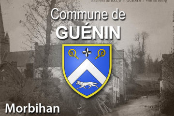 Commune de Guénin.