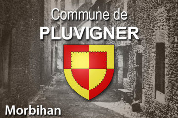 Commune de Pluvigner.