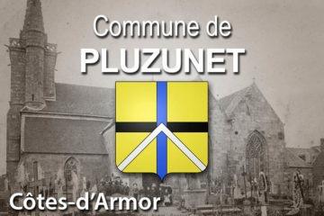 Commune de Pluzunet.