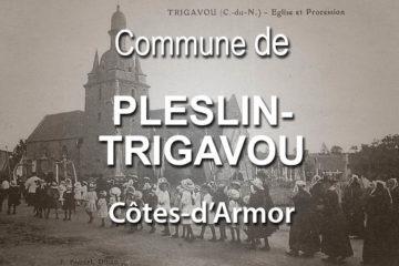 Commune de Pleslin-Trigavou.