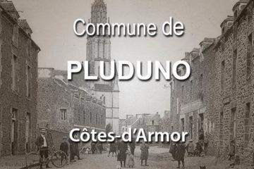 Commune de Pluduno.