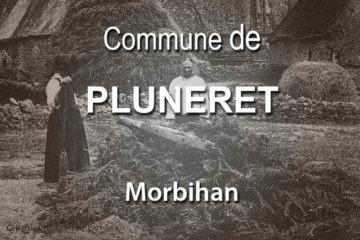 Commune de Pluneret.