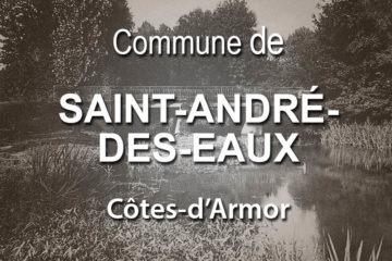 Commune de Saint-André-des-Eaux.