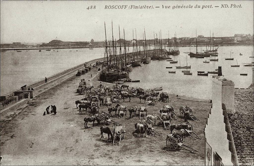 Vue générale du port de Roscoff au début des années 1900.