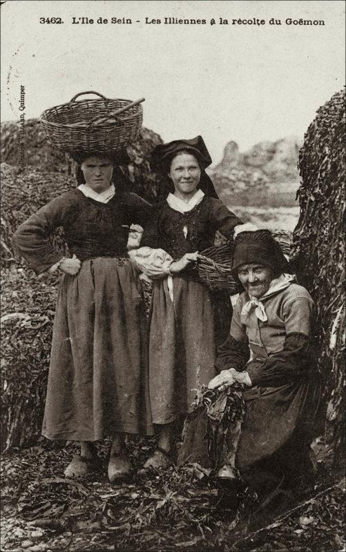 Des îliennes à la marée sur l'Île de Sein au début des années 1900.