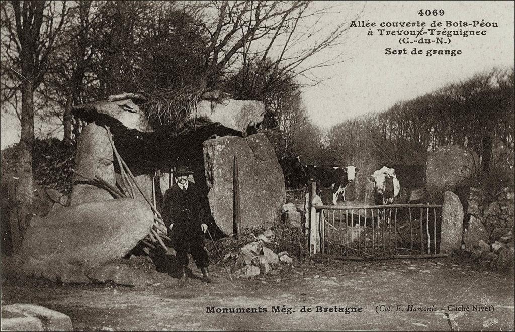 L'allée couverte de Bois-Péou à Trévou-Tréguignec au début des années 1900.