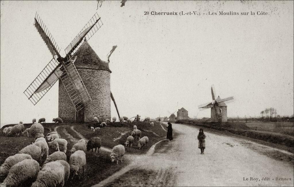 Les moulins sur la côte dans la commune de Cherrueix au début des années 1900.