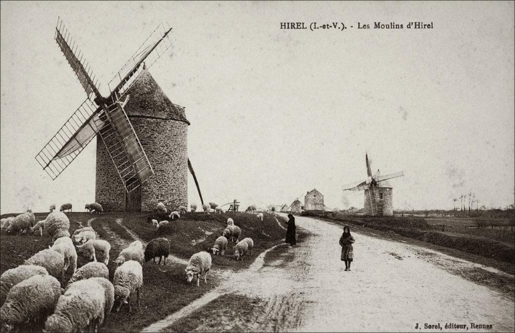 Les moulins à vent sur la commune d'Hirel au début des années 1900.