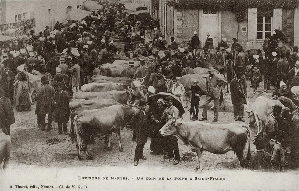 Un jour de foire dans le bourg de Saint-Fiacre-sur-Maine dans les années 1900.