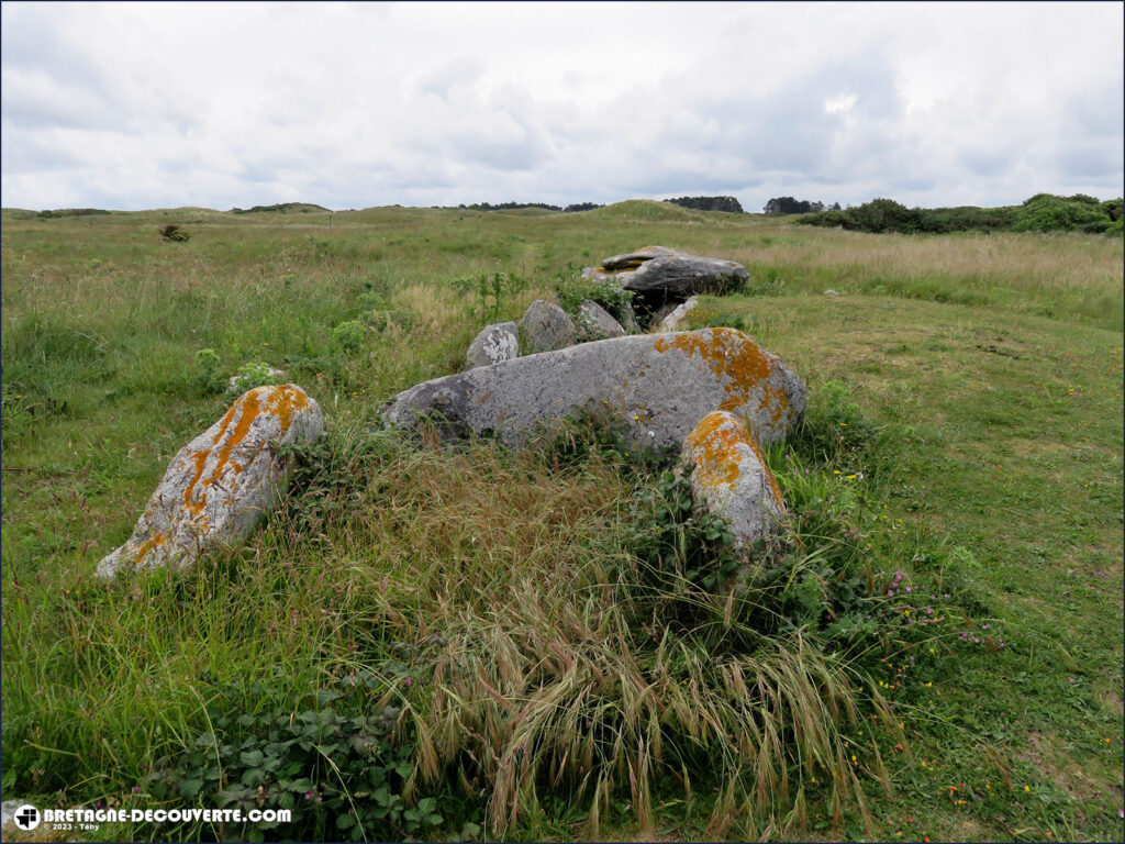 Allée couverte du Ribl à Lampaul-Ploudalmézeau dans le Finistère.