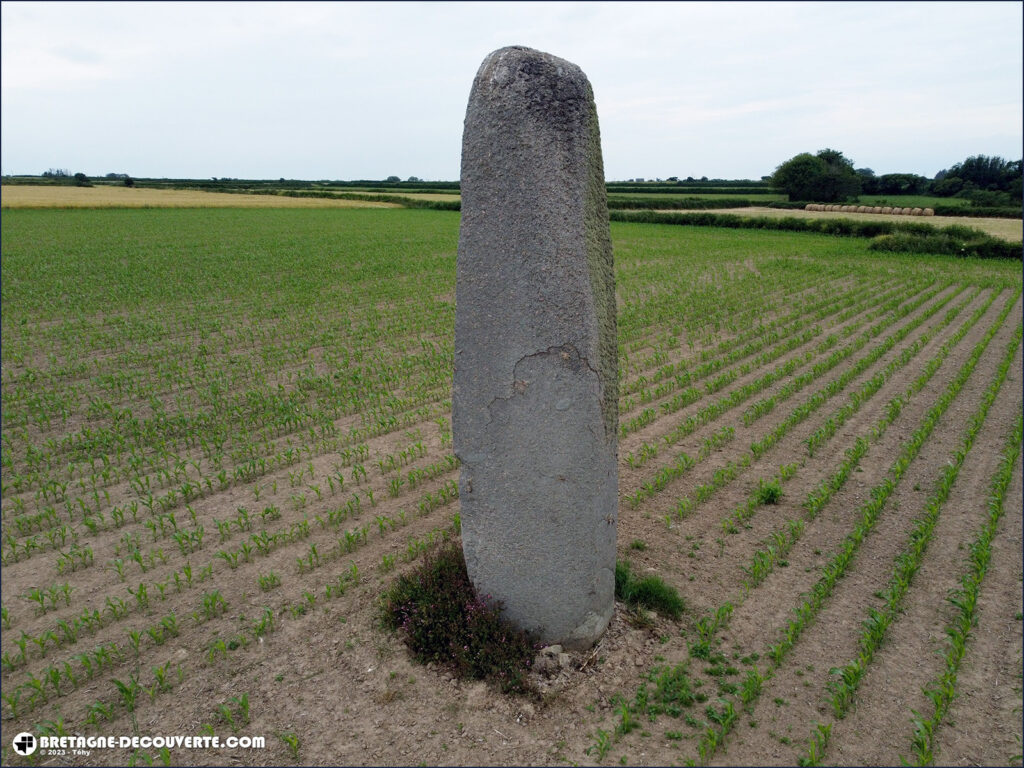 Le menhir de Saint-Gonvarc'h sur la commune de Landunvez dans le Finistère.