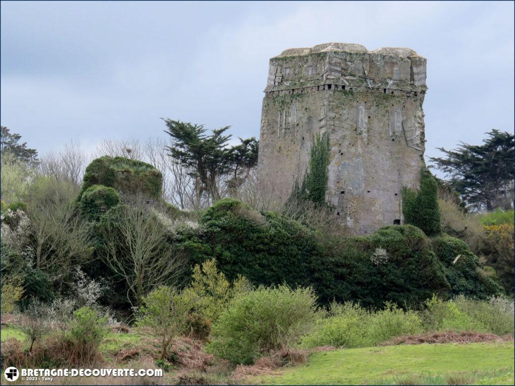 Les ruines du château de Trémazan sur la commune de Landunvez.