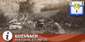 Vignette de la commune du Guesnach dans le Finistère.