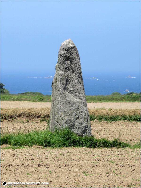 Le menhir de Goarivan à Plouguerneau.