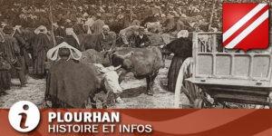Vignette de la commune de Plourhan dans les Côtes d'Armor.