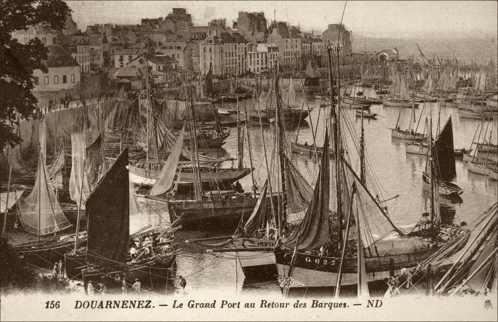 Le retour des chaloupes sardinières dans le grand port de Douarnenez.