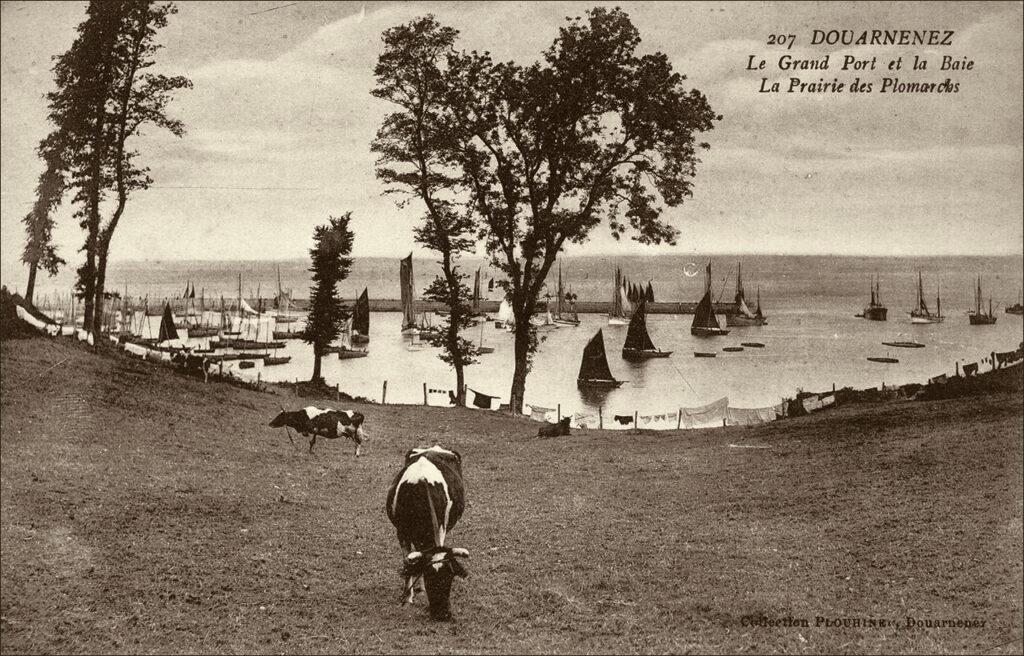 La prairie des Plomarc'h à Douarnenez dans les années 1900.