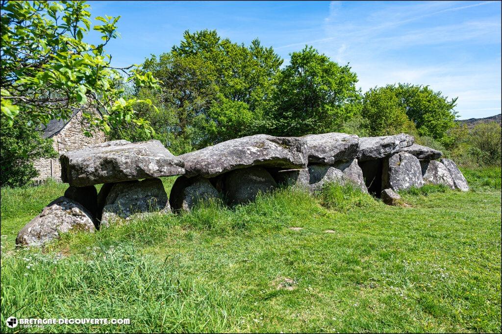 L'allée mégalithique de Mougau-Bihan sur la commune de Commana.