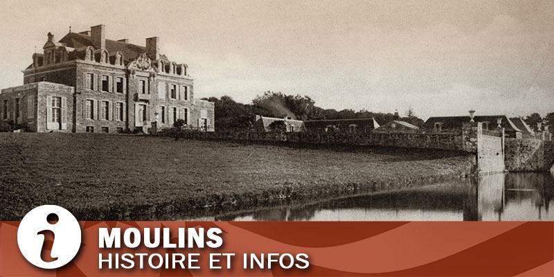 Vignette de la commune de Moulins en Ille-et-Vilaine.